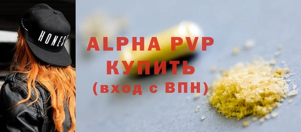 спиды Магас