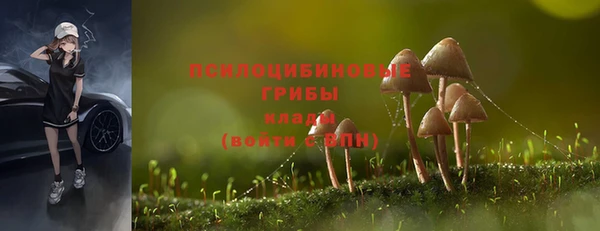 спиды Магас