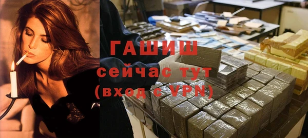 спиды Магас