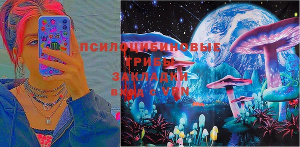 сатива Майский
