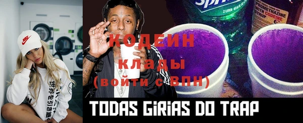 спиды Магас