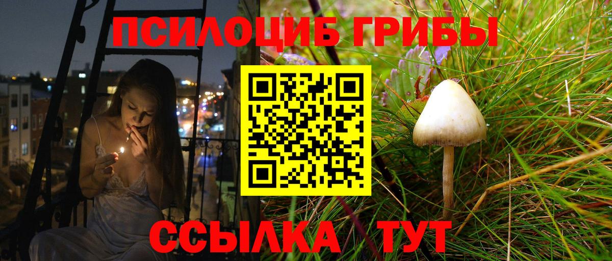Фурманов  Псилоцибиновые грибы Psilocybine cubensis  Вход с VPN 