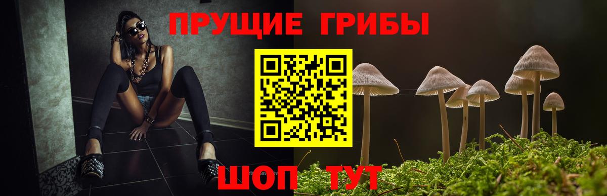 Псилоцибиновые грибы MAGIC MUSHROOMS  где найти наркотики  Фурманов 